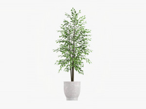 Potted Decorative Tree 02 Model 3D
