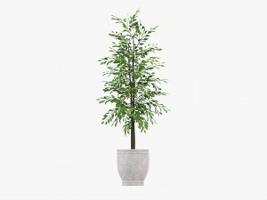 Potted Decorative Tree 02 Model 3D
