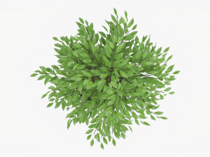 Potted Decorative Tree 02 Model 3D