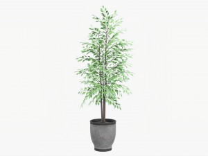 Potted Decorative Tree 02v2 Modelo 3D