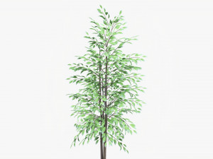 Potted Decorative Tree 02v2 3D Model
