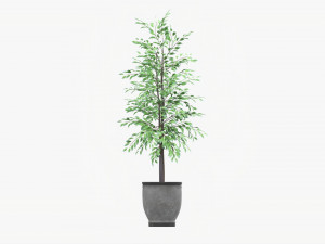 Potted Decorative Tree 02v2 3D Model