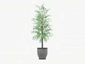&Aacute;rvore decorativa em vaso 02v2 Modelo 3D