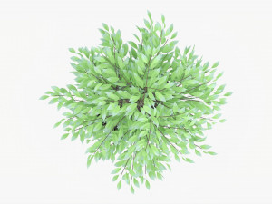 Potted Decorative Tree 02v2 3D Model