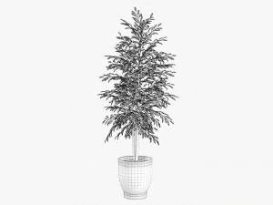&Aacute;rvore decorativa em vaso 02v2 Modelo 3D