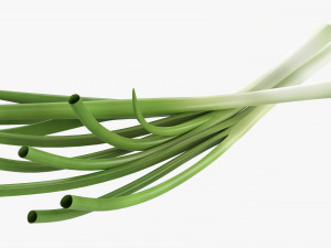 Spring Onions 01 3D Model