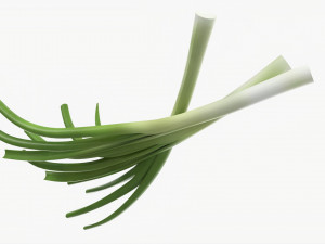 Spring Onions 01 3D Model