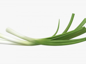 Spring Onions 01 3D Model