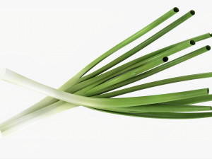 Spring Onions 01 3D Model