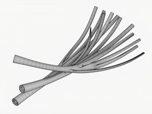 Spring Onions 01 3D Model
