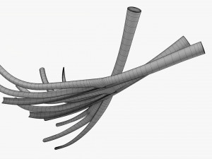 Spring Onions 01 3D Model