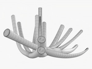 Spring Onions 01 3D Model