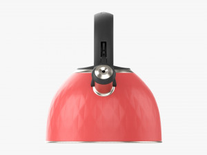 Whistle Kettle 02 Model 3D
