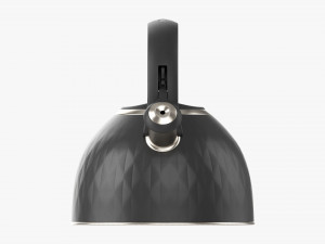 Whistle Kettle 04 Model 3D