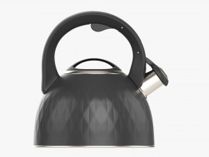 Whistle Kettle 04 Model 3D