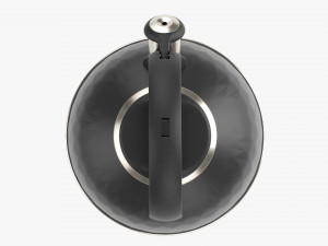Whistle Kettle 04 Model 3D