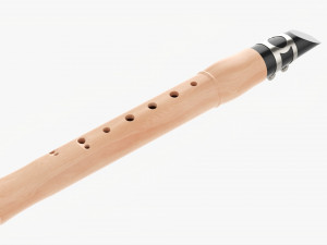 Chalumeau Wind Instrument Modèle 3D