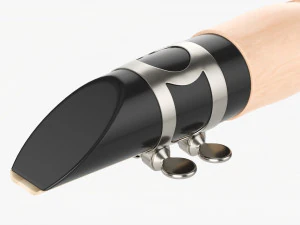 シャリュモー管楽器 3Dモデル