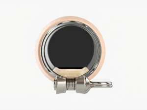 シャリュモー管楽器 3Dモデル