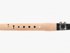 Chalumeau Wind Instrument Modèle 3D