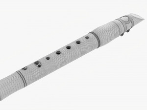 Chalumeau Wind Instrument Modèle 3D