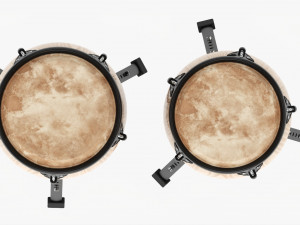 Conga Set 10 And 11 Inches 3D 모델