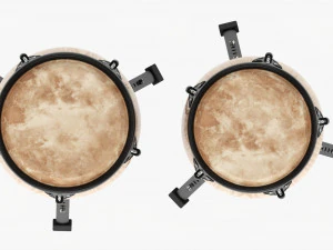 Conga Set 10 And 11 Inches 3D Model