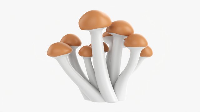 Honey Mushrooms Armillaria Mellea 3Dモデル .c4d .max .obj .3ds .fbx .stl .blend