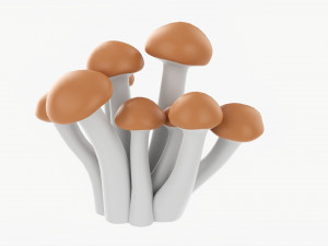 Honey Mushrooms Armillaria Mellea 3Dモデル