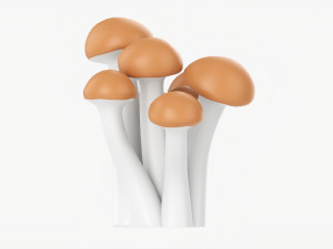 Honey Mushrooms Armillaria Mellea 3Dモデル