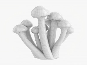 Honey Mushrooms Armillaria Mellea 3Dモデル