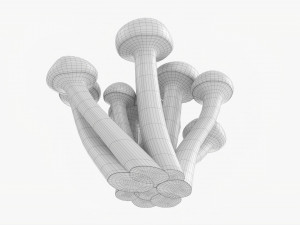 Honey Mushrooms Armillaria Mellea 3Dモデル