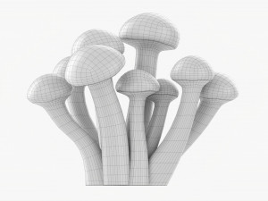 Honey Mushrooms Armillaria Mellea 3Dモデル