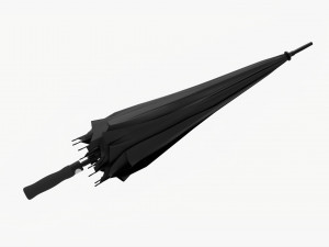 Large Automatic Umbrella Black Folded 3D Model