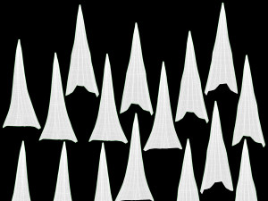 Large Automatic Umbrella Black Folded Model 3D
