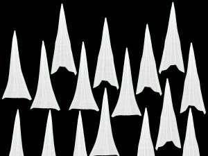 大型自动伞黑色折叠 3D 模型