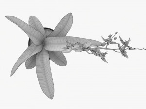 Orchid Flower In Pot 3D Модель