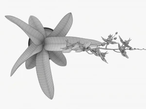 Orchid Flower In Pot 3D Model