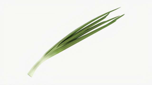 Spring Onions 02 Modèle 3D .c4d .max .obj .3ds .fbx .stl .blend 