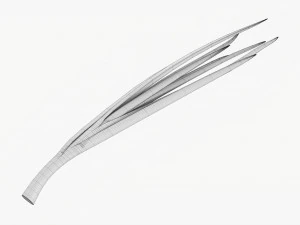 Spring Onions 02 3D Model