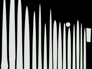 Spring Onions 02 Modèle 3D