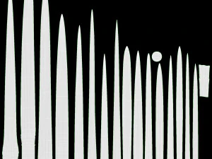 Spring Onions 02 3D Model