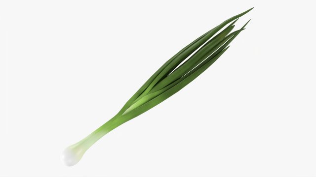 Spring Onions 04 3D Model .c4d .max .obj .3ds .fbx .stl .blend 