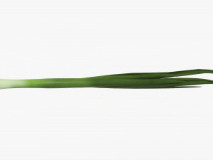 Spring Onions 04 3D Model