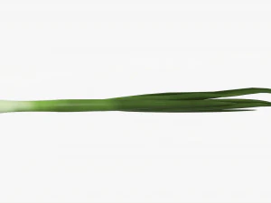 Spring Onions 04 3D Model