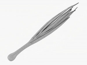 Spring Onions 04 3D Model