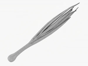 Spring Onions 04 3D Model