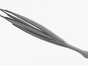 Spring Onions 04 3D Model