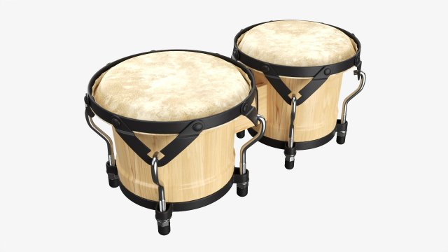 Bongo set 2025