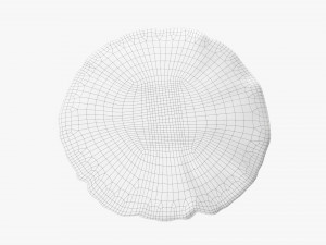 Chef Hat Modello 3D